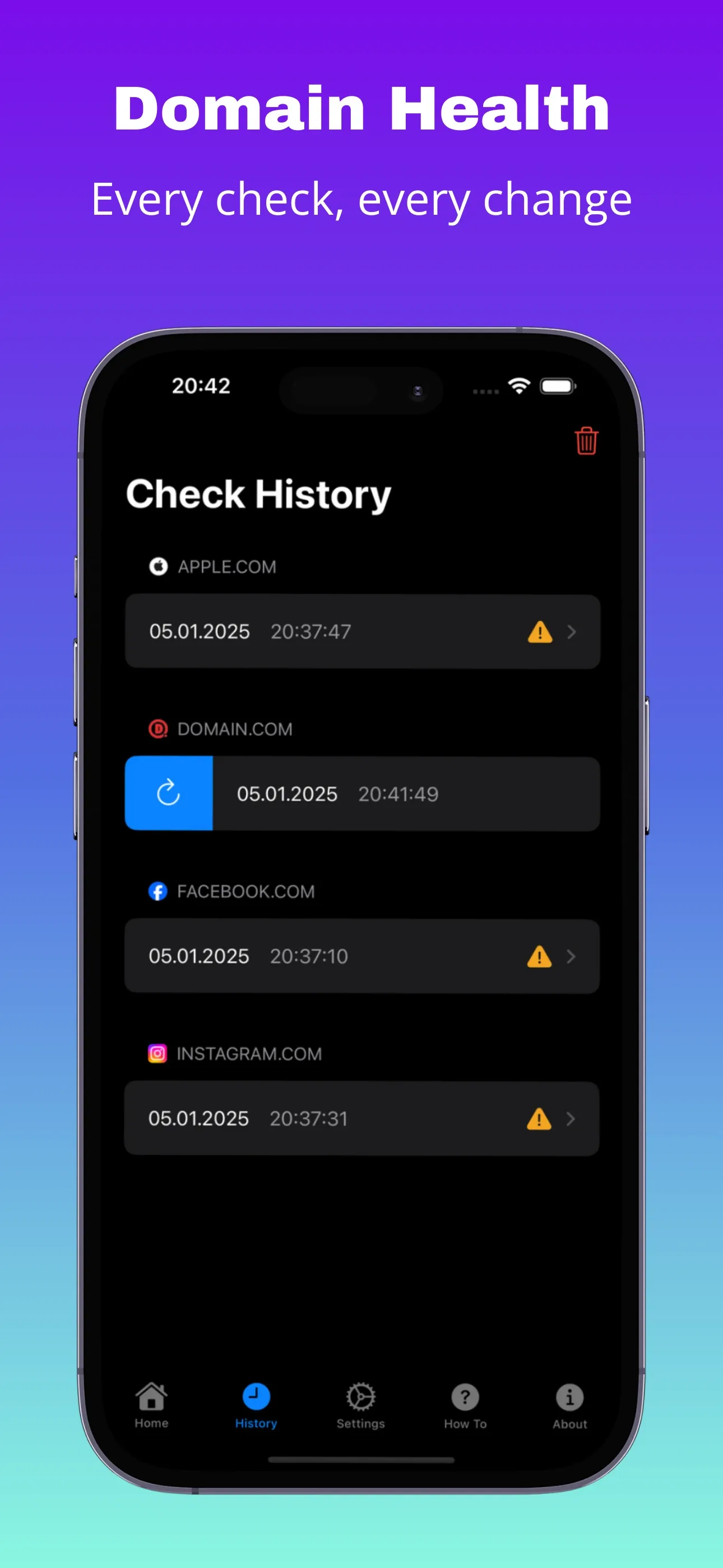 Check history list showing previous domain scans with status icons